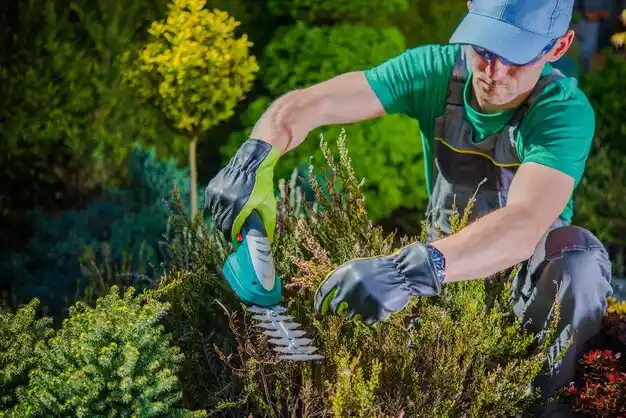 landscaping services Bayou Blue